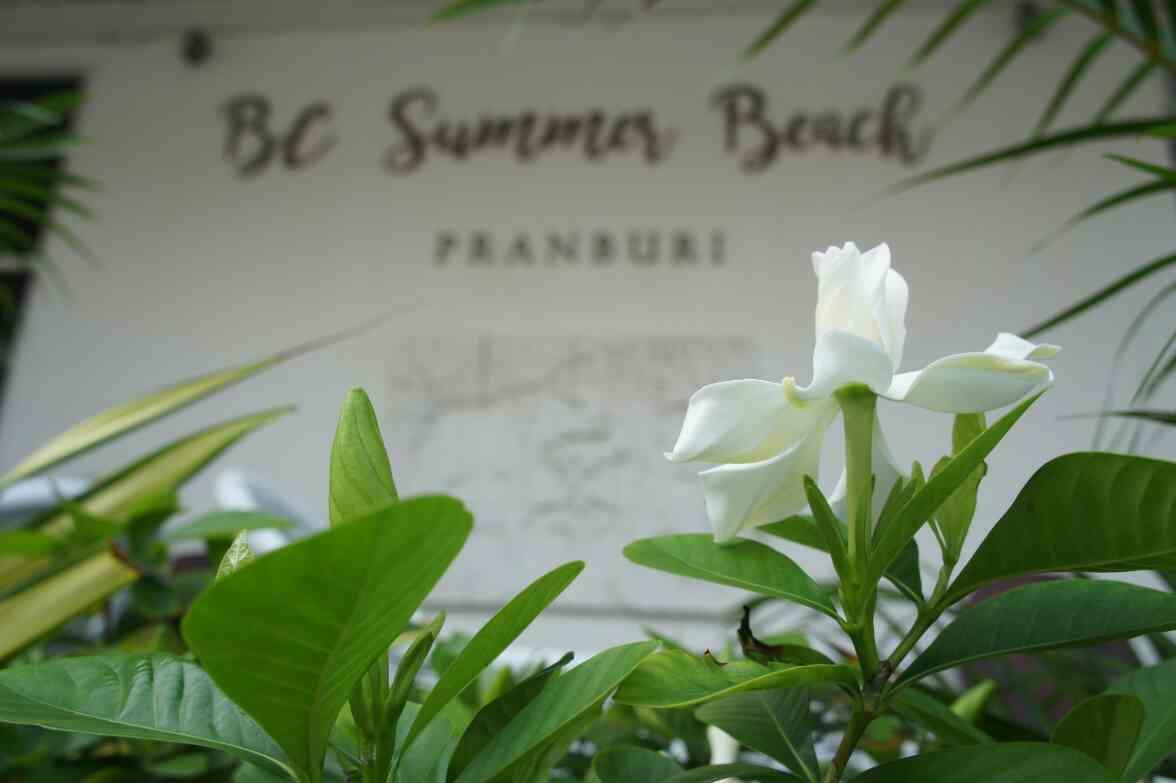Bc Summer Beach Pran Buri Extérieur photo